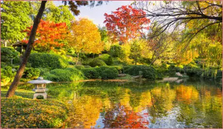 Depresión y como tratarlo Tratamiento de la depresión