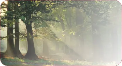 Fobias y miedos Vencer la ansiedad Lee la biblia